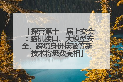 探营第十一届上交会：脑机接口、大模型安全、跨境身份核验等新技术将悉数亮相