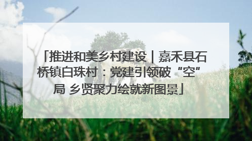 推进和美乡村建设｜嘉禾县石桥镇白珠村：党建引领破“空”局 乡贤聚力绘就新图景