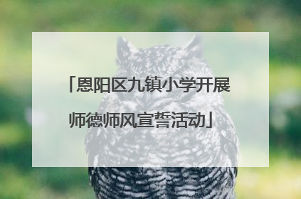 恩阳区九镇小学开展师德师风宣誓活动