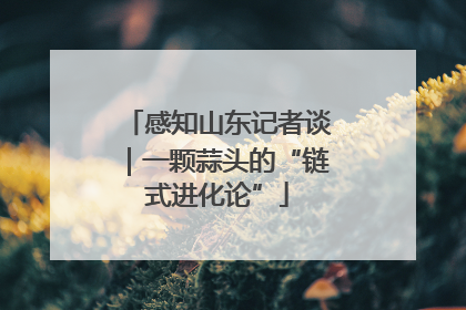 感知山东记者谈｜一颗蒜头的“链式进化论”