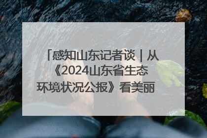 感知山东记者谈｜从《2024山东省生态环境状况公报》看美丽山东建设的“成绩单”与“任务书”