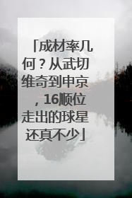 成材率几何？从武切维奇到申京，16顺位走出的球星还真不少