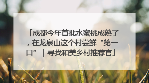 成都今年首批水蜜桃成熟了，在龙泉山这个村尝鲜“第一口”｜寻找和美乡村推荐官