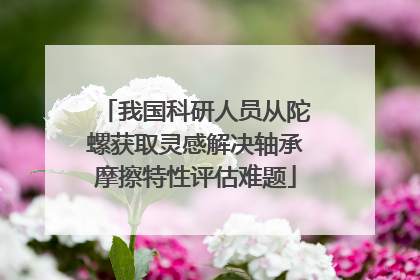 我国科研人员从陀螺获取灵感解决轴承摩擦特性评估难题