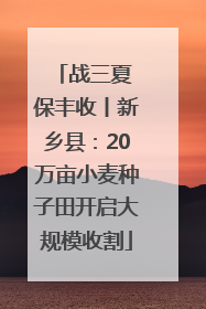 战三夏 保丰收丨新乡县：20万亩小麦种子田开启大规模收割