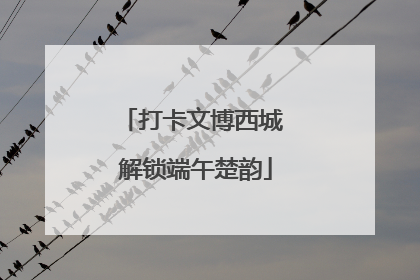打卡文博西城 解锁端午楚韵