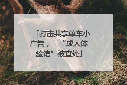 打击共享单车小广告，一“成人体验馆”被查处