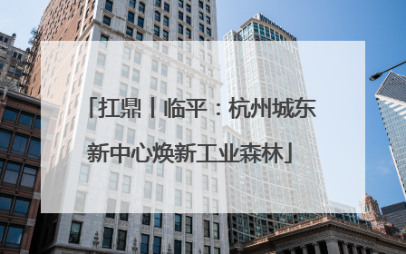 扛鼎丨临平：杭州城东新中心焕新工业森林
