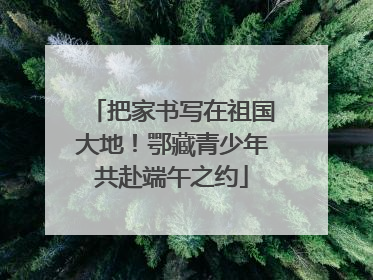 把家书写在祖国大地！鄂藏青少年共赴端午之约