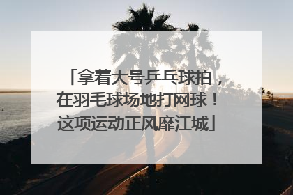 拿着大号乒乓球拍，在羽毛球场地打网球！这项运动正风靡江城