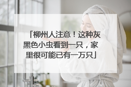柳州人注意！这种灰黑色小虫看到一只，家里很可能已有一万只