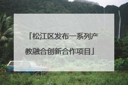 松江区发布一系列产教融合创新合作项目