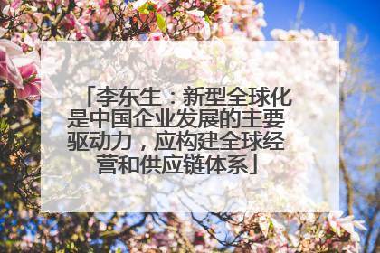 李东生：新型全球化是中国企业发展的主要驱动力，应构建全球经营和供应链体系