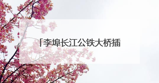 李埠长江公铁大桥插稳“定海神针” 相当于5艘航母的排水量