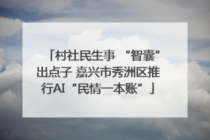 村社民生事 “智囊”出点子 嘉兴市秀洲区推行AI“民情一本账”