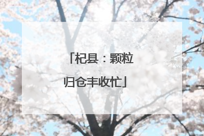 杞县：颗粒归仓丰收忙