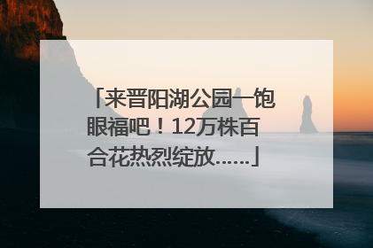 来晋阳湖公园一饱眼福吧！12万株百合花热烈绽放……