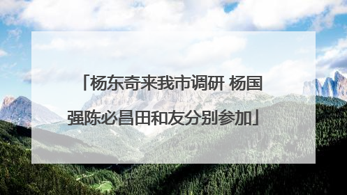 杨东奇来我市调研 杨国强陈必昌田和友分别参加