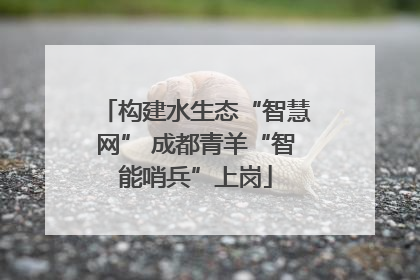 构建水生态“智慧网” 成都青羊“智能哨兵”上岗