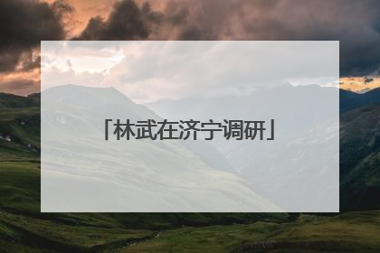 林武在济宁调研