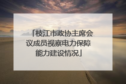 枝江市政协主席会议成员视察电力保障能力建设情况