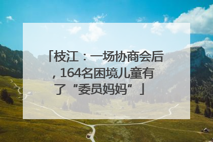 枝江：一场协商会后，164名困境儿童有了“委员妈妈”