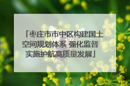枣庄市市中区构建国土空间规划体系 强化监督实施护航高质量发展