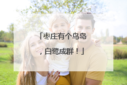 枣庄有个鸟岛，白鹭成群！