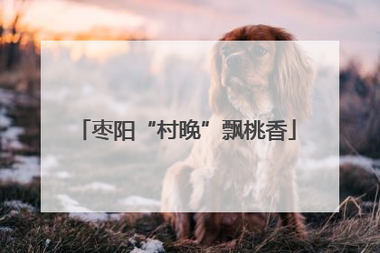 枣阳“村晚”飘桃香