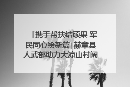 携手帮扶结硕果 军民同心绘新篇∣赫章县人武部助力大凉山村阔步乡村振兴路