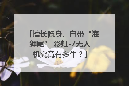 擅长隐身、自带“海狸尾” 彩虹-7无人机究竟有多牛？