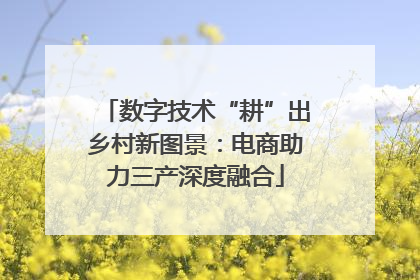 数字技术“耕”出乡村新图景：电商助力三产深度融合