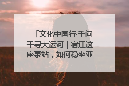 文化中国行·千问千寻大运河｜宿迁这座泵站，如何稳坐亚洲第一宝座？