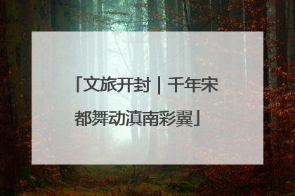 文旅开封｜千年宋都舞动滇南彩翼