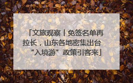 文旅观察丨免签名单再拉长，山东各地密集出台“入境游”政策引客来