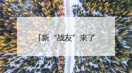 新“战友”来了！超飒雪豹IP“兵小宁”亮相