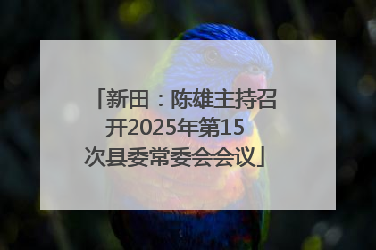新田：陈雄主持召开2025年第15次县委常委会会议