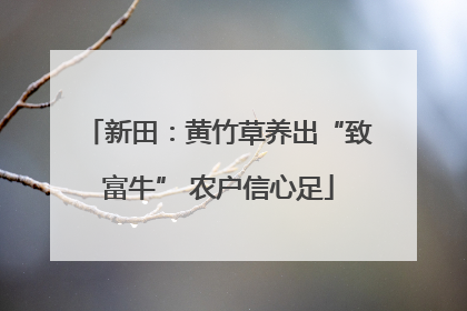 新田：黄竹草养出“致富牛” 农户信心足