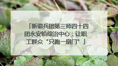 新疆兵团第三师四十四团永安镇综治中心：让职工群众“只跑一扇门”