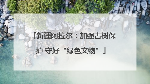 新疆阿拉尔：加强古树保护 守好“绿色文物”