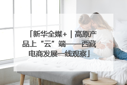 新华全媒+｜高原产品上“云”端——西藏电商发展一线观察