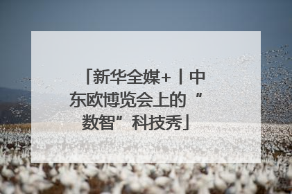 新华全媒+丨中东欧博览会上的“数智”科技秀