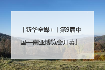 新华全媒+丨第9届中国—南亚博览会开幕