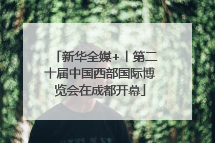 新华全媒+丨第二十届中国西部国际博览会在成都开幕