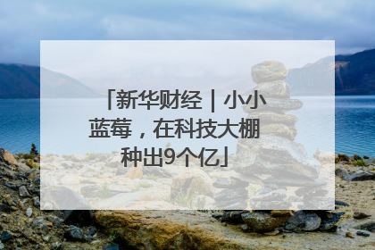 新华财经｜小小蓝莓，在科技大棚种出9个亿