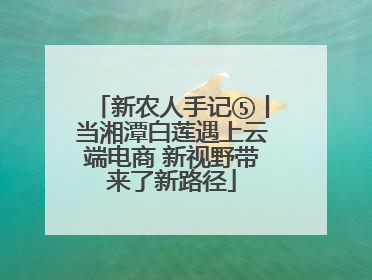 新农人手记⑤丨当湘潭白莲遇上云端电商 新视野带来了新路径