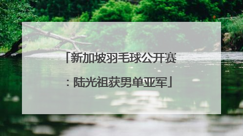 新加坡羽毛球公开赛：陆光祖获男单亚军