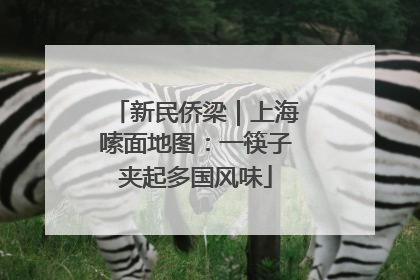 新民侨梁｜上海嗦面地图：一筷子夹起多国风味