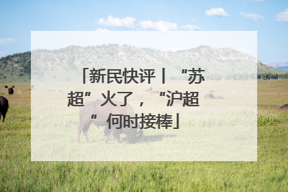 新民快评丨“苏超”火了，“沪超”何时接棒