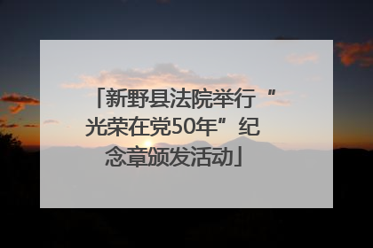 新野县法院举行“光荣在党50年”纪念章颁发活动